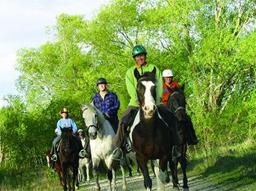 Waimak River Horse Treks