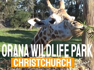 Orana Wildlife Park