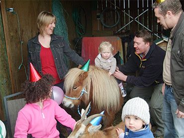 Wee Dram Farm Park